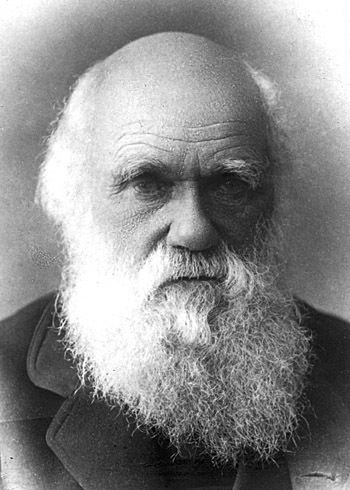 Charles Darwin : D : Famous expressions