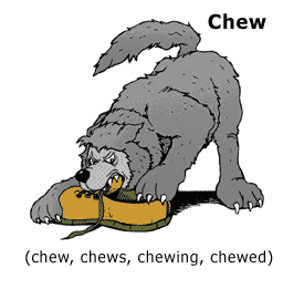 иллюстрация к разделу: chew