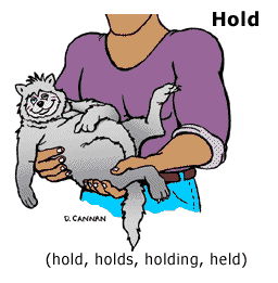иллюстрация к разделу: hold