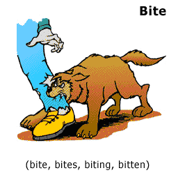 Bite bit bitten перевод. Bite перевод. Глагол bite. Bite картинка для детей.